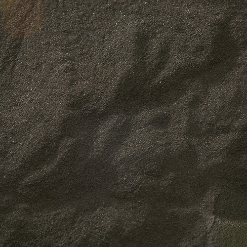 新岩 純黒 - pigiment.live