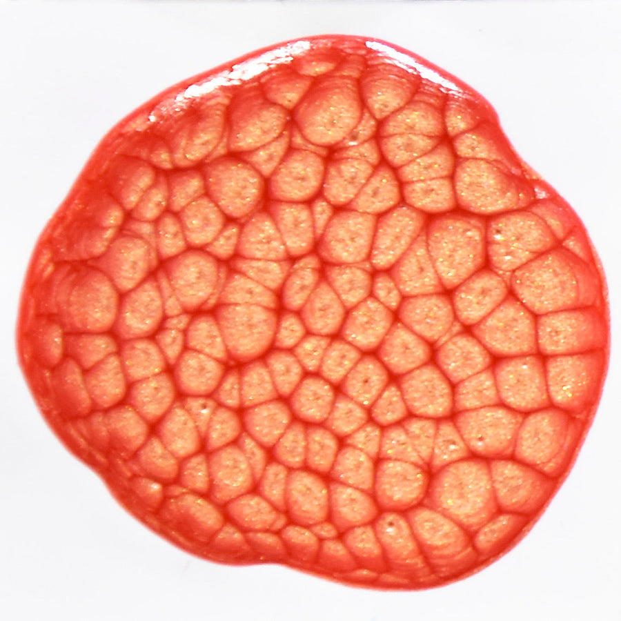 Prisme Vermillion No.12