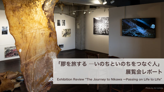 「膠を旅する ―いのちといのちをつなぐ人」展覧会レポート