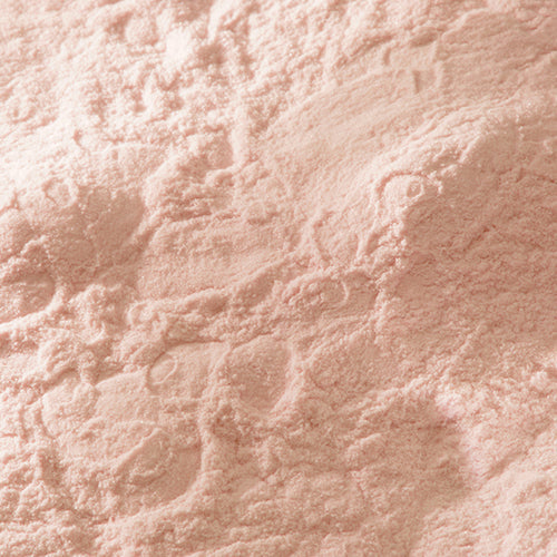 新岩 桜色 - pigiment.live