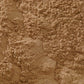 天然 朽葉色 - pigiment.live