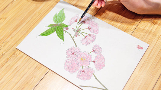 ［入門］岩絵具で花をえがく（さくら） 26/03/08 - pigiment.live