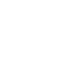 white(31)