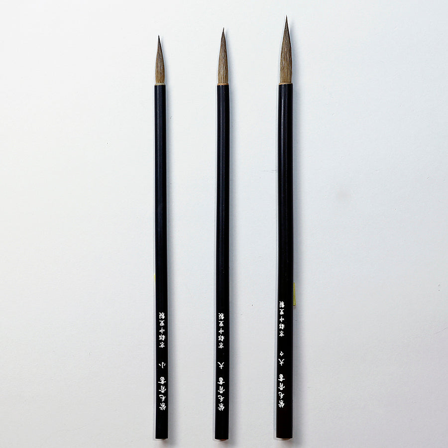 紫毛骨書 - pigiment.live