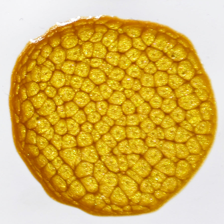 Prisme Butter Cup No.24