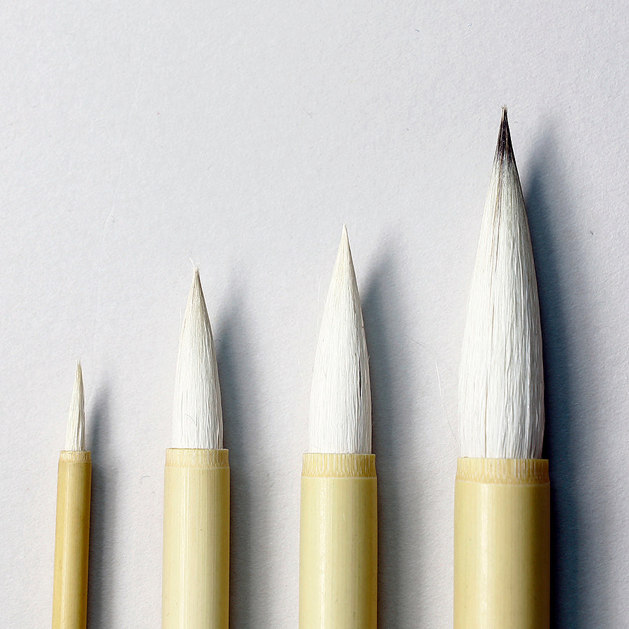 特製彩色 - pigiment.live